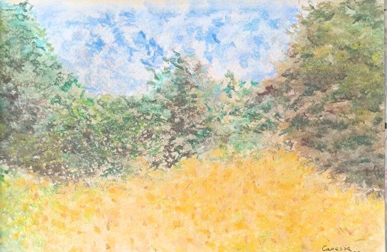 Paisaje de Patricio Canessa Palma