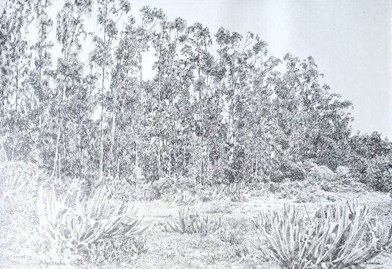 Grabado en tinta negra de Patricio Canessa Palma