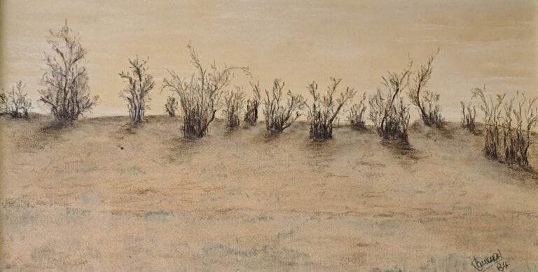 Pintura en pastel de Patricio Canessa Palma